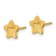 14k Yellow Gold Satin and Polished Heart in Star Stud Earrings
