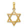 14k Yellow Gold Textured Star of David Pendant