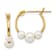 14K Yellow Gold White Semi-round Freshwater Cultured 3 Pearl Hoop Earrings