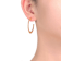 Open Hoop Earrings In 14K Gold Over Brass