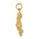 14k Yellow Gold 3D Textured Aquarius Zodiac pendant