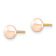 14k Yellow Gold 4-5mm Pink Button Freshwater Cultured Pearl Stud Earrings