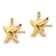14K Yellow Gold Starfish Post Earrings