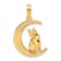 14k Yellow Gold Polished Cat Sitting On Moon Pendant