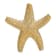 14k Yellow Gold Textured Starfish Slide Pendant