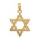 14k Yellow Gold Polished and Textured Star of David Pendant