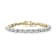 Pear Shape Shell Pearl Tennis Bracelet In 14K Gold Over Sterling Silver