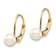 14K Yellow Gold 5-6mm White Round Freshwater Cultured Pearl Leverback Earrings