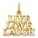 14k Yellow Gold Talking - Live Love Laugh Pendant