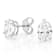 Lab-Grown Diamond Oval Stud Earrings In 14K White Gold 3.00ctw