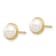 14k Yellow Gold 5-6mm White Button Freshwater Cultured Pearl Stud Earrings