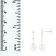 White Cultured Freshwater Pearl 14k White Gold Earrings 7-7.5mm