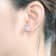Flower CZ Stud Earrings In Sterling Silver