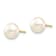 14k Yellow Gold 7.32mm White Button Freshwater Cultured Pearl Stud Earrings