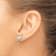 Rhodium over 14k White Gold White Charleston Palm Tree with Moon Stud Earrings