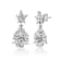 CZ Snowflake Cluster Drop Earrings In White Rhodium Over Brass