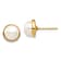 14K Yellow Gold 7-8mm White Button Freshwater Cultured Pearl Post Earrings
