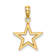 10K Yellow Gold Cut-Out Star Charm
