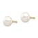 14K Yellow Gold 5-6mm White Button Freshwater Cultured Pearl Stud Post Earrings