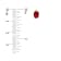 0.82ctw Oval Ruby and Diamond Earring in 14k Yellow Gold