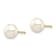 14k Yellow Gold 6-7mm White Button Freshwater Cultured Pearl Stud Earrings