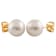 7-7.5mm Cultured Freshwater Pearl Stud Earrings in 14k Yellow Gold