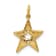 14K Two-tone Gold Diamond Star Charm
