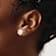 10k Yellow Gold 3-4mm White Egg Freshwater Cultured Pearl 11mm Flower
Stud Earrings