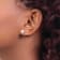 Sterling Silver Rose-tone with Freshwater Cultured Pearl and Cubic
Zirconia Earrings