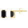 6x4mm Emerald Cut Black Onyx 10k Yellow Gold Stud Earrings