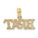 14k Yellow Gold Polished and Textured BRAT Charm