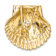 14k Yellow Gold Textured Fits Up To 8mm and 10mm Medium Scallop Shell
Slide Pendant