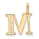 14K Yellow Gold Diamond Letter M Initial Pendant