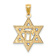 14K Two-tone Gold  Diamond-Cut Star of David with Chai Pendant