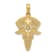 14k Yellow Gold Textured Caduceus with Nurses Cap Pendant