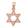 14k Rose Gold Polished Star of David Pendant