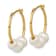 14K Yellow Gold 13/16" Round White Freshwater Cultured Pearl Hoop Earrings