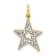 10k Yellow Gold and Rhodium Over 10k Yellow Gold Diamond Star Charm