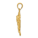 14k Yellow Gold Satin and Diamond-Cut Angel in Circle Pendant