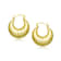 Seashell Hoop Earrings In 14K Gold Over Brass