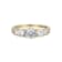 White Cubic Zirconia 18K Yellow Gold Over Sterling Silver Ring 2.90ctw