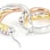 Tri-Tone Hoop CZ Earrings