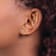 14K Yellow Gold Butterfly Cubic Zirconia Stud Earrings