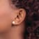 Sterling Silver White Freshwater Cultured Pearl 7-8mm Button Earrings