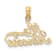 14k Yellow Gold Textured Number 1 Princess Charm
