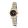 Ladies Charles Hubert Two-tone Stainless Steel Black Dial Watch