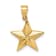 14k Yellow Gold Polished Star Pendant