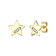 CZ Lucky Star Stud Earrings In 14K Gold Over Brass