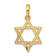 14k Yellow Gold Textured Star of David Pendant