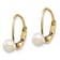 14K Yellow Gold 4-5mm White Round Freshwater Cultured Pearl Leverback Earrings